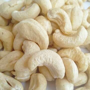 Cashew Nut – Big Size